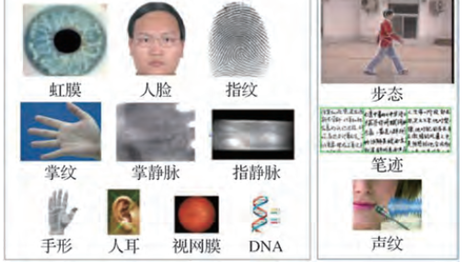 Overview of biometrics research