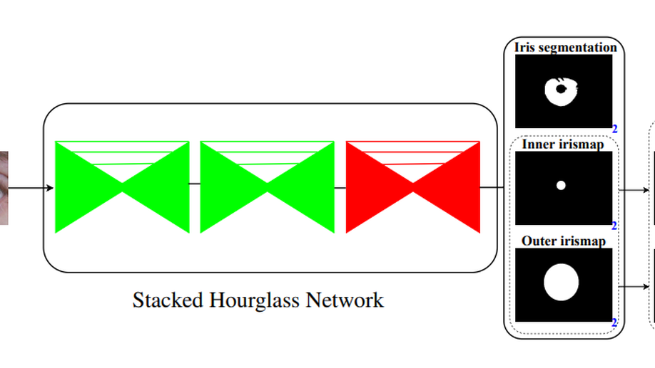 A Lightweight Multi-Label Segmentation Network for Mobile Iris Biometrics