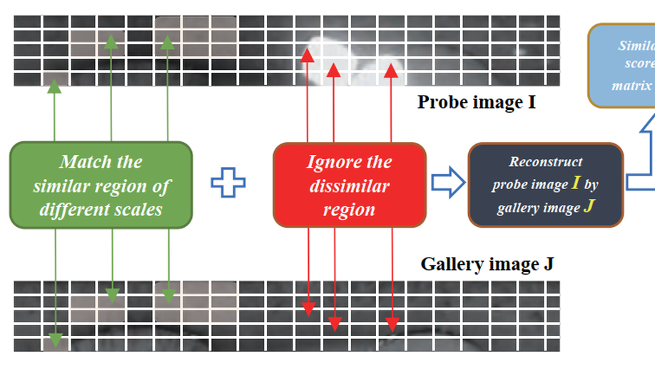 Flexible Iris Matching Based on Spatial Feature Reconstruction